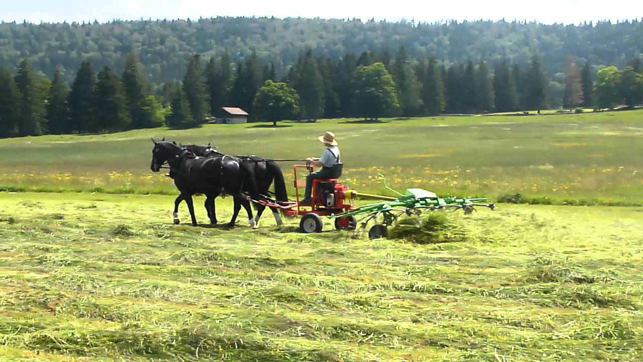 Neuer Kreiselheuer
