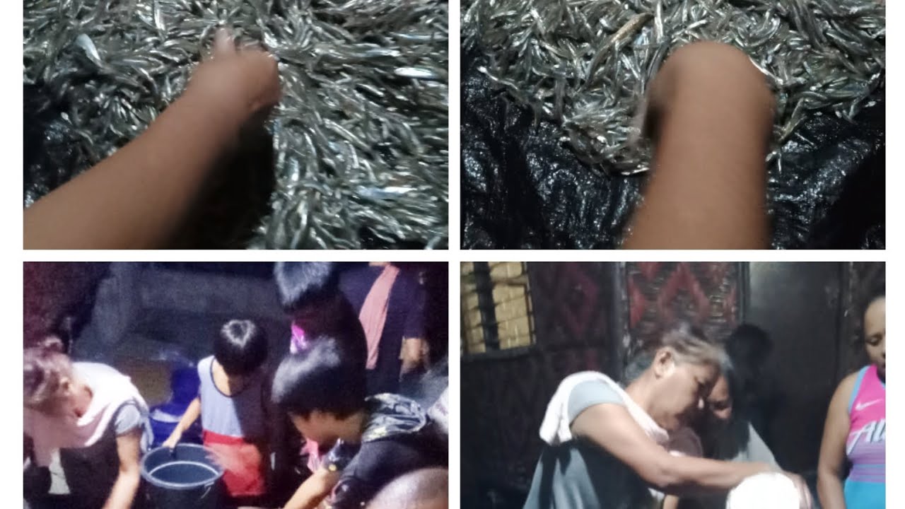 Ang daming dilis koha sa bintol.