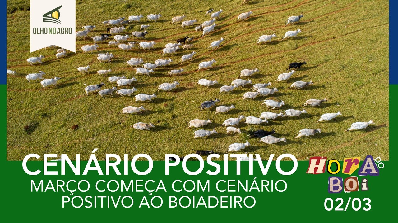 HORA DO BOI 02/03 - MARÇO COMEÇA COM CENÁRIO POSITIVO AO BOIADEIRO