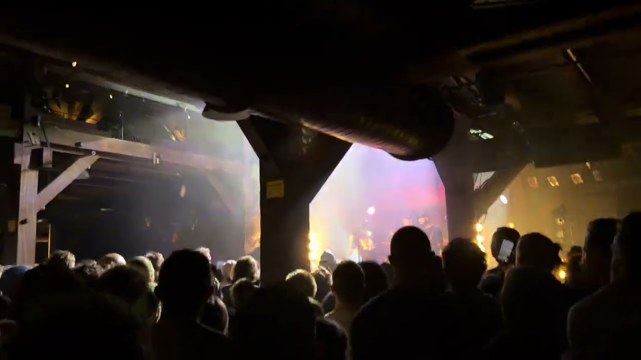 Hot Mulligan - How Do You Know It’s Not Armadillo Shells? live Hamburg 2026