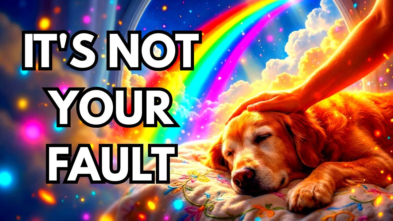 It's Not Your Fault - The Rainbow Bridge Song That Will Make You Cry