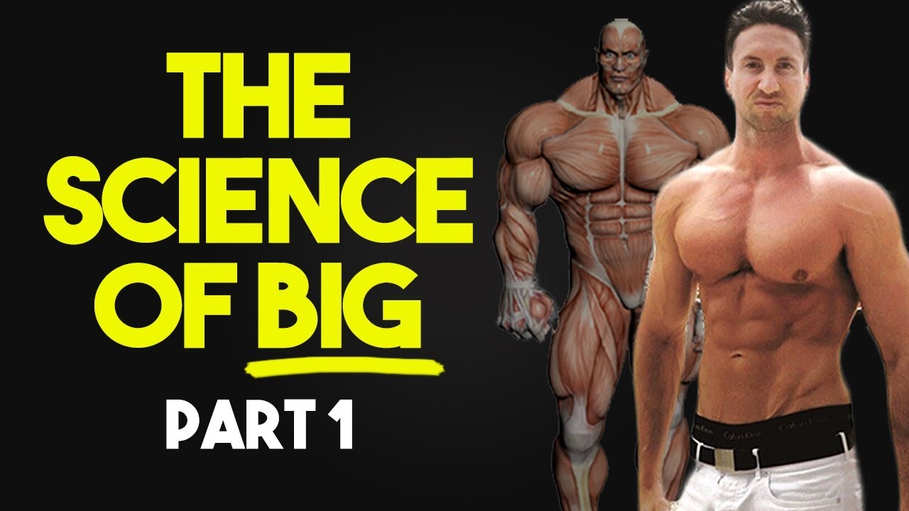 How To Get Big In 3 Steps | The Science Of Getting Bigger Part 1