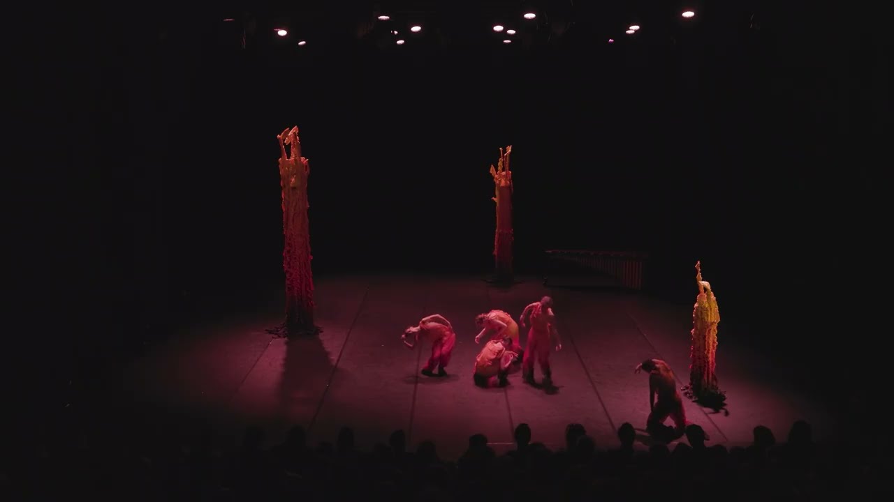 Sensorial Symphonies (Extracts)