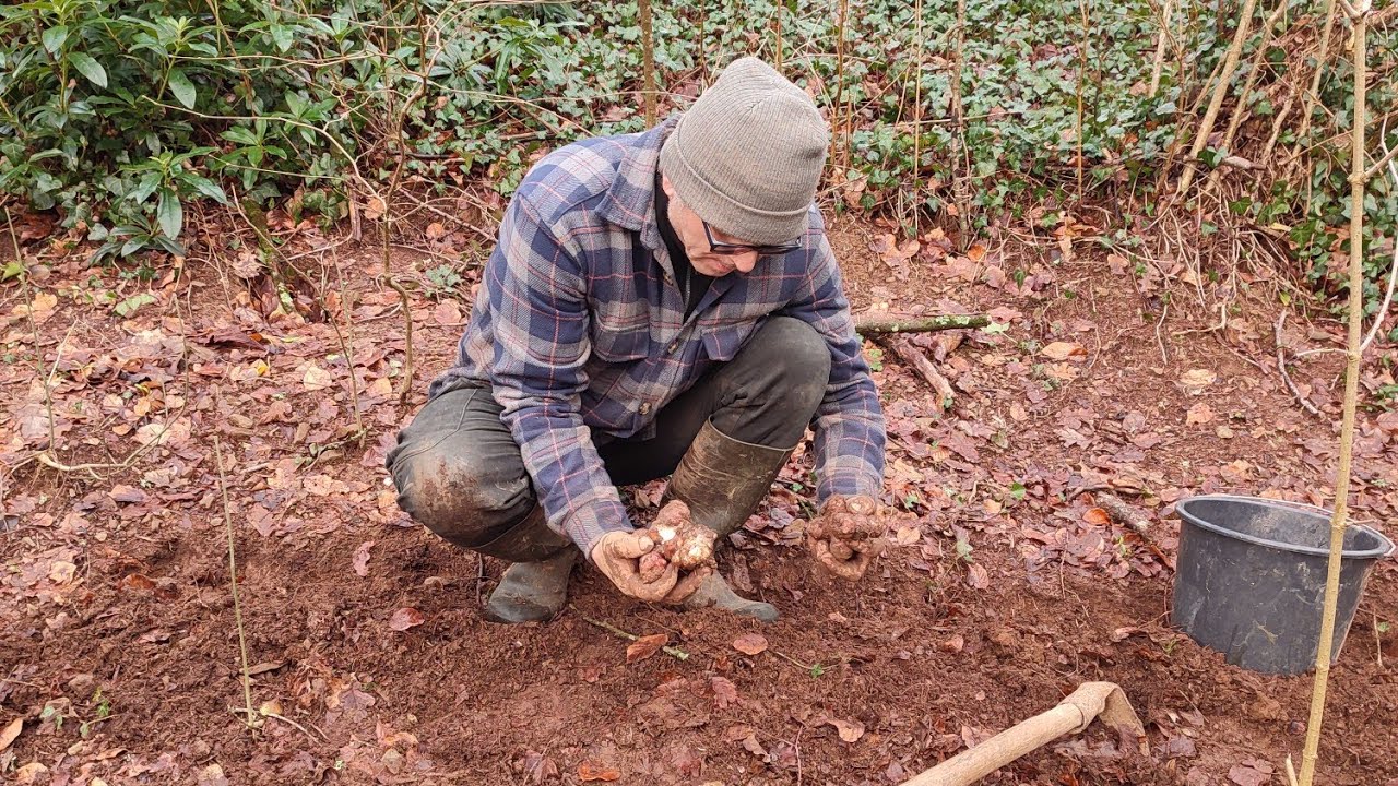I Almost Died - These Wild Tubers Saved My Life 