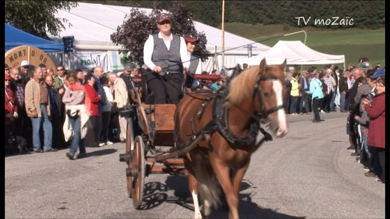 Fête du vacherin Les Charbonnières