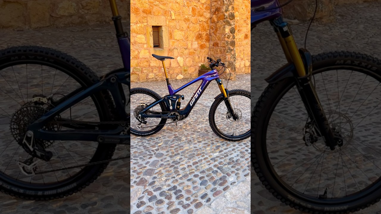 2025 Giant Reign Advanced E+