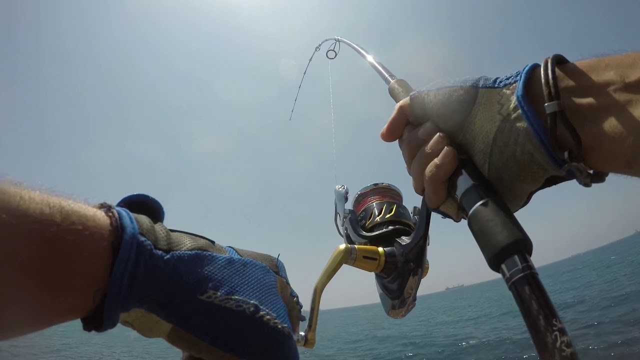 Shore jigging Israel - 17kg king mackerel on shore jigging
