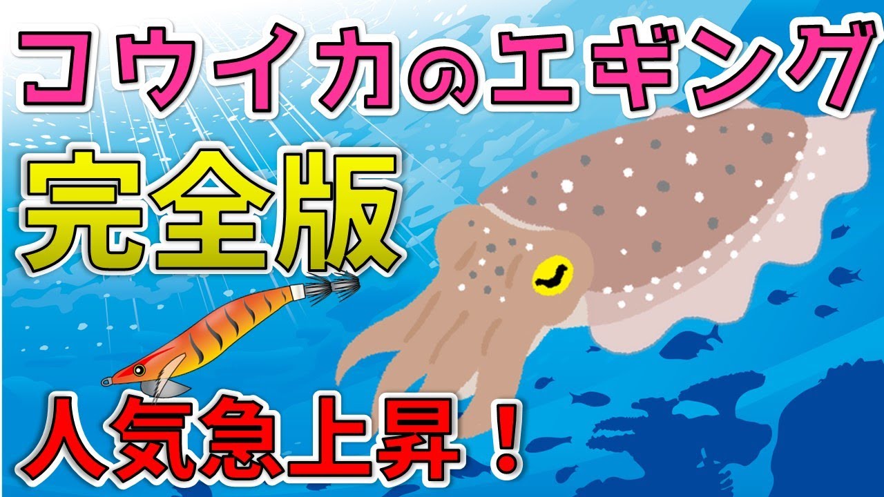 【コウイカのエギング】機動性を活かして広大なポイントを狙い撃ち！