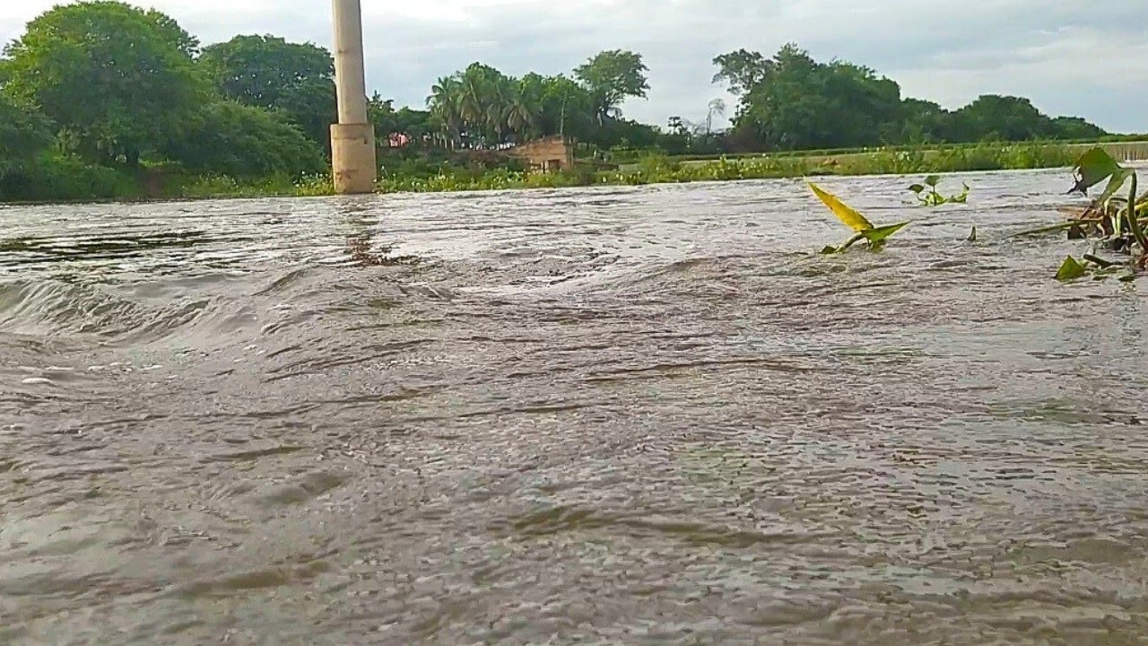A PRIMEIRA GRANDE CHEIA NO RIO SALGADO 