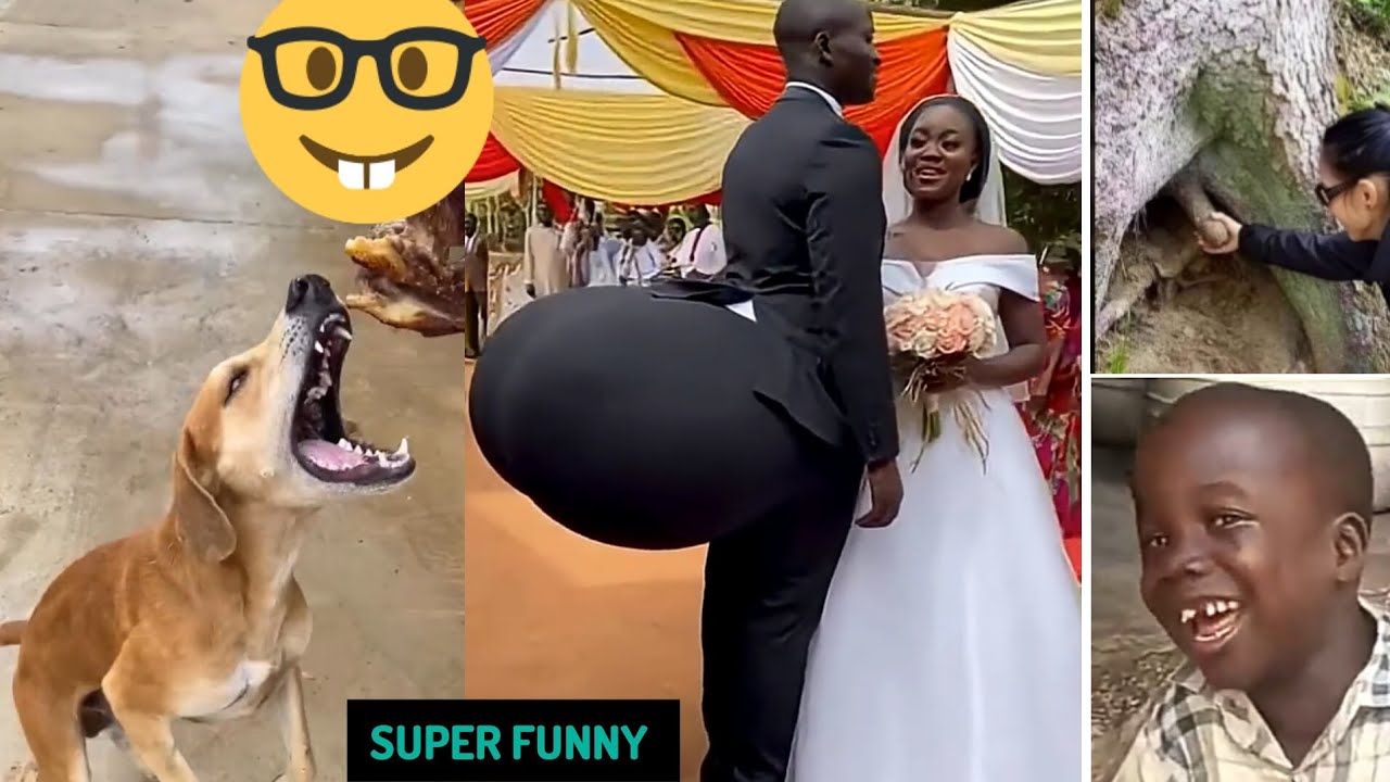 So Funny Videos (p2) | Try Not to Laugh