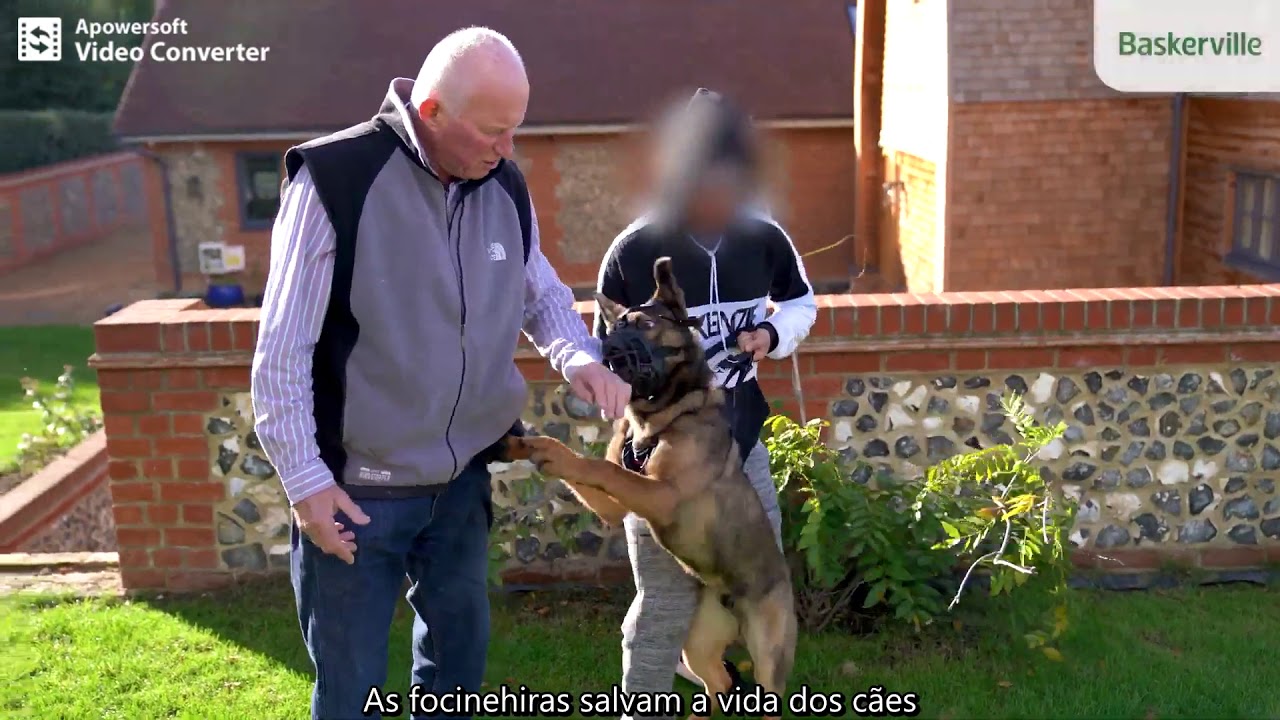 Focinheira Baskerville Ultra x Focinheiras comuns