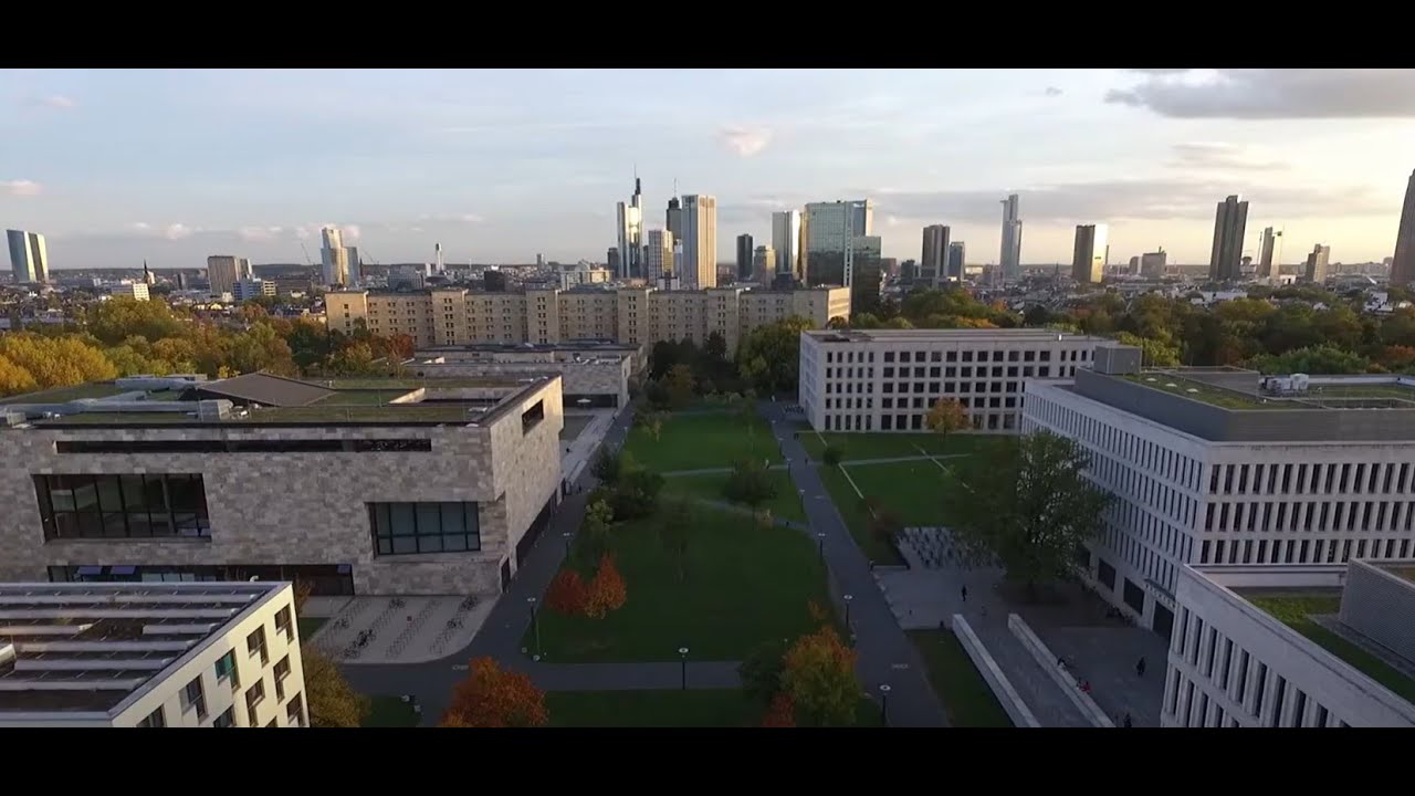 fwwg - Wir sind das Netz.