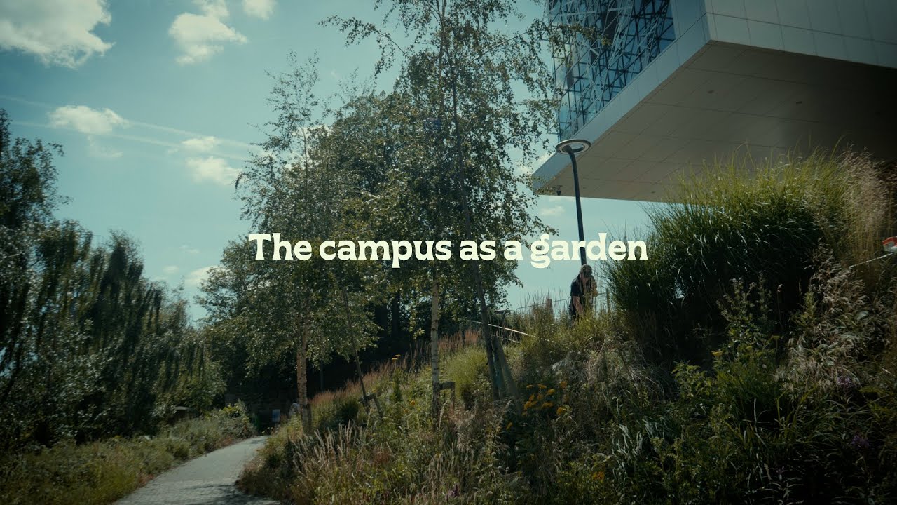 The campus as a garden - University of Huddersfield