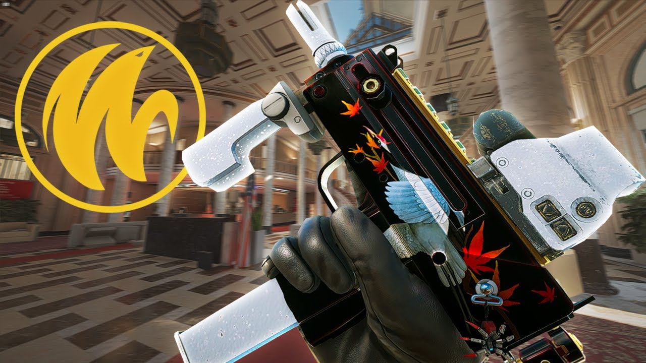 How I joined WYLDE | Open Trials #2