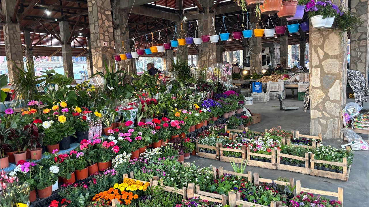 2 Mart 2026 Aydın Karaca’su #keşfet #05061114721 #kesfetteyiz #pazarcı #çiçek #garden #keşfet #