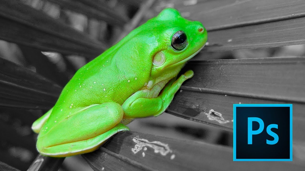Photoshop CC | Color selectivo (fácil y bien explicado) | Tutorial Español
