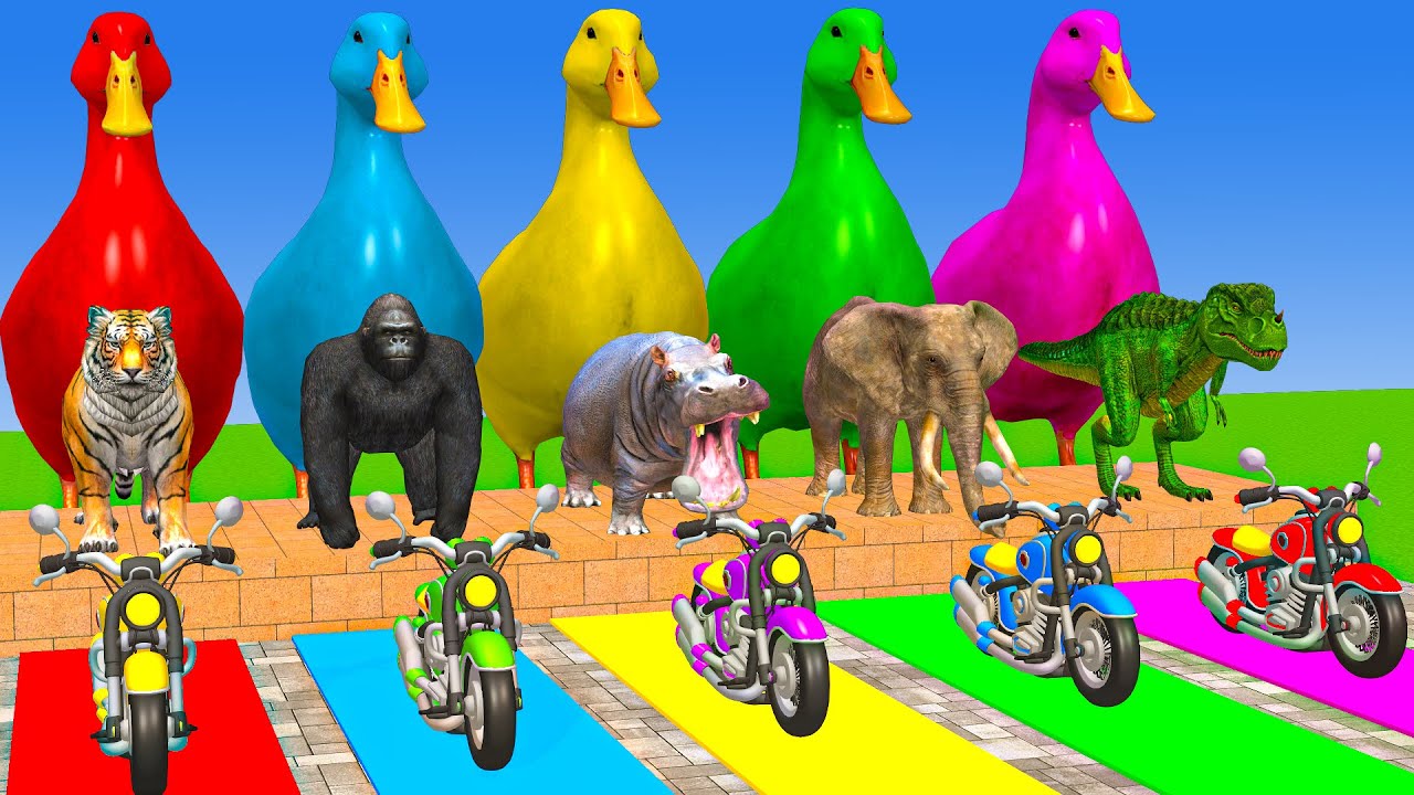 Long Slide Game With Cow Elephant Gorilla Hippopotamus Tiger - 3d Animal Game - Funny 3d Animals