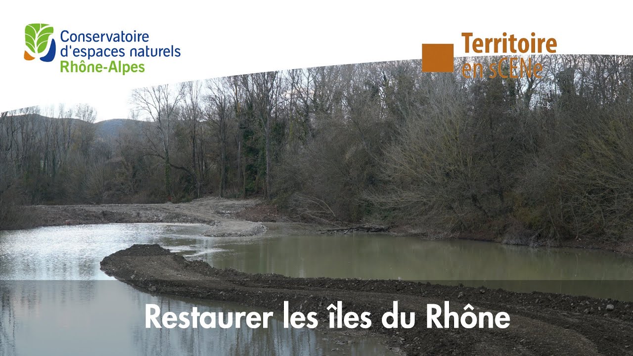 Restauration de quatre étangs sur les îles du Rhône - Drôme (Septembre- Décembre 2021)