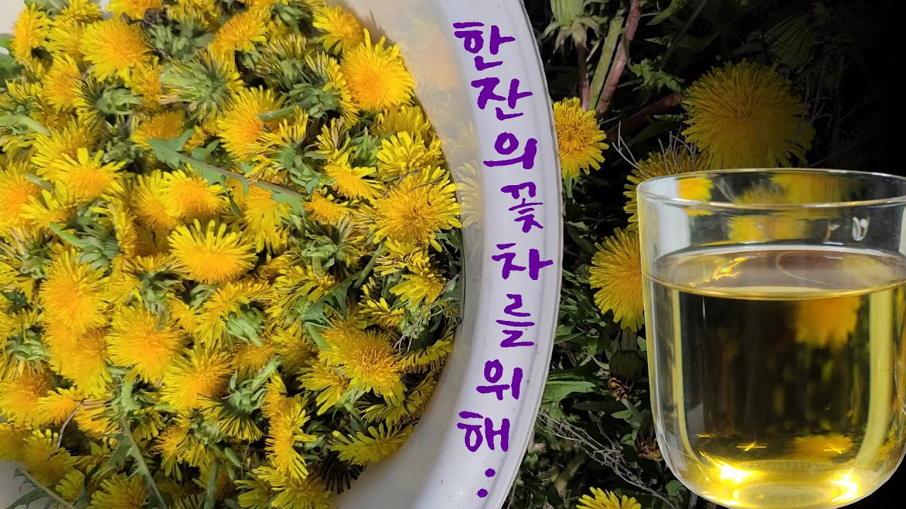 48시간으로 꽃피운 한잔의 꽃차,  ( 이뇨, 항염, 항균작용 )