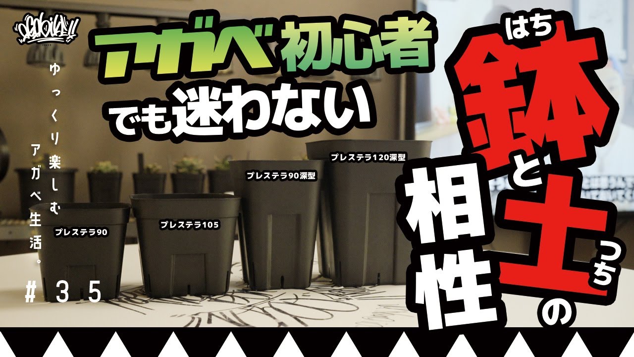 アガベの鉢と土の相性？この鉢サイズにはこの用土！