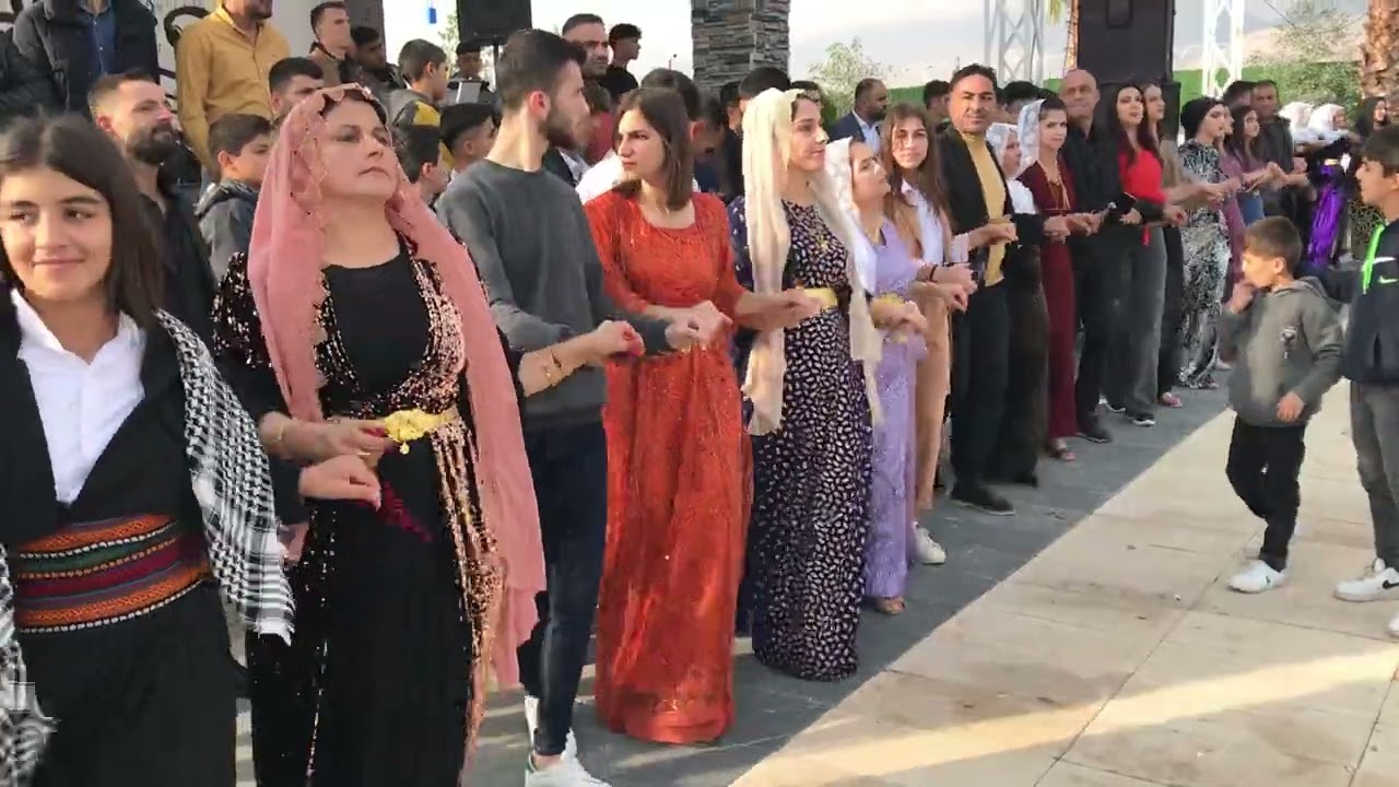 Halit emlük Görkemli Düğünü ( Ozan Ahmet Silopi ) yep yeni