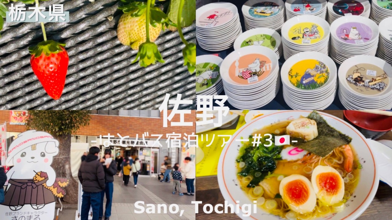 【佐野/栃木県】はとバス宿泊ツアー｜アウトレット｜ いちご狩り｜佐野厄除け大師&ラーメン🍜🇯🇵SANO, Japan by HATOBUS Tour🍓Outlet、Strawberry、Ramen