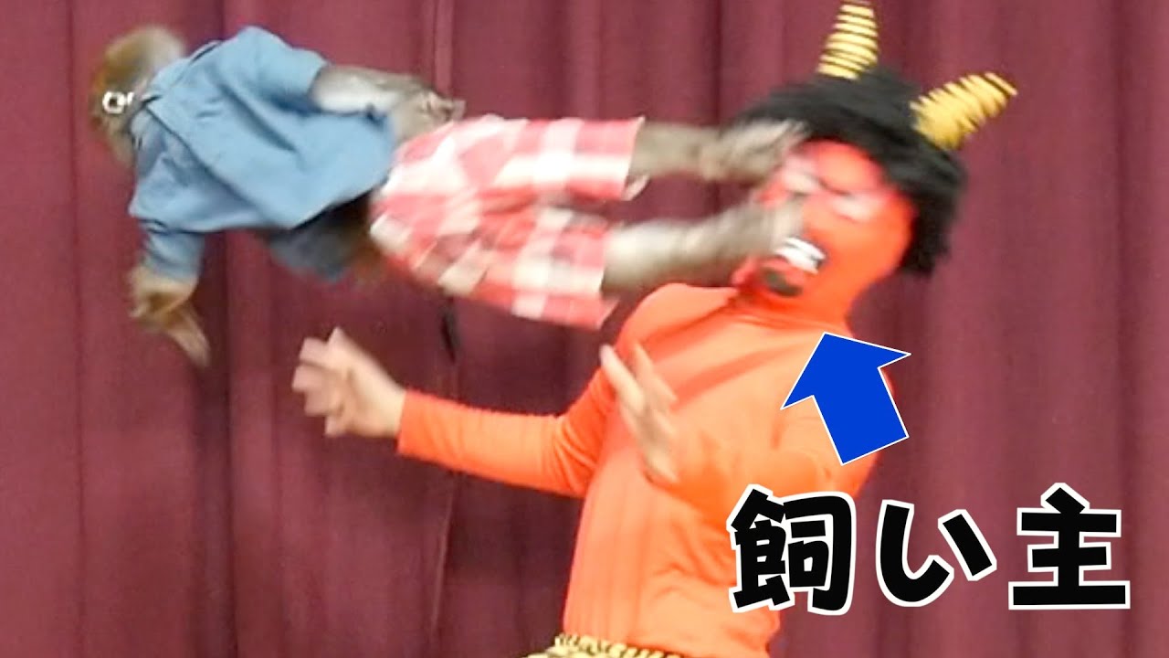 お猿さんには「鬼退治」のDNAが残っていると聞いて試したらえらい目にあった。