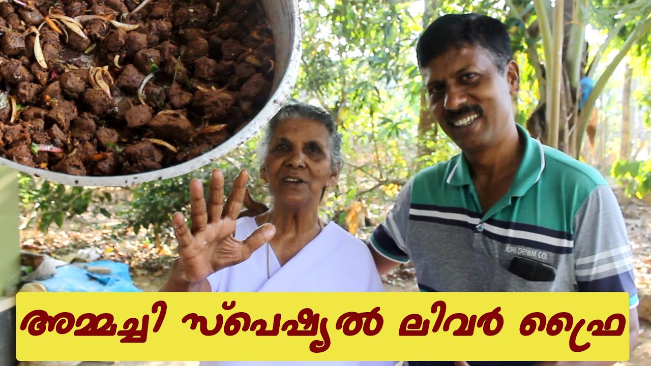 ബീഫ് ലിവർ ഫ്രൈ | Liver fry |  Healthy Recipe | Annammachedathi Special