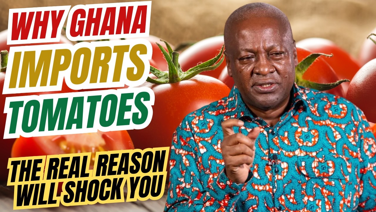 HEARTBREAKING REASON Ghana Spends $100 Million to Import Tomatoes Every Year