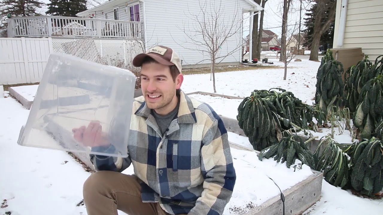 Start Your Seeds Outside in WINTER With This Method (winter sowing)