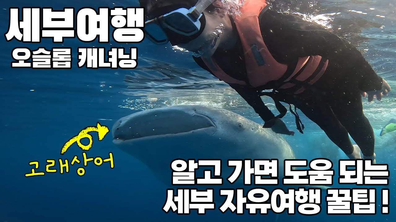 🇵🇭세부여행 ep1. 세부 자유여행 브이로그 / 블루워터 마리바고 리조트 / 오슬롭 / 이남바칸폭포 / 가와산캐녀닝 / 로컬페이지 / 세부액티비티