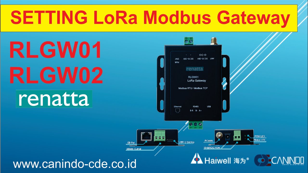 Setting Renatta LoRa Modbus Gateway RLGW01 RLGW02   #lora #rlgw01 #renatta