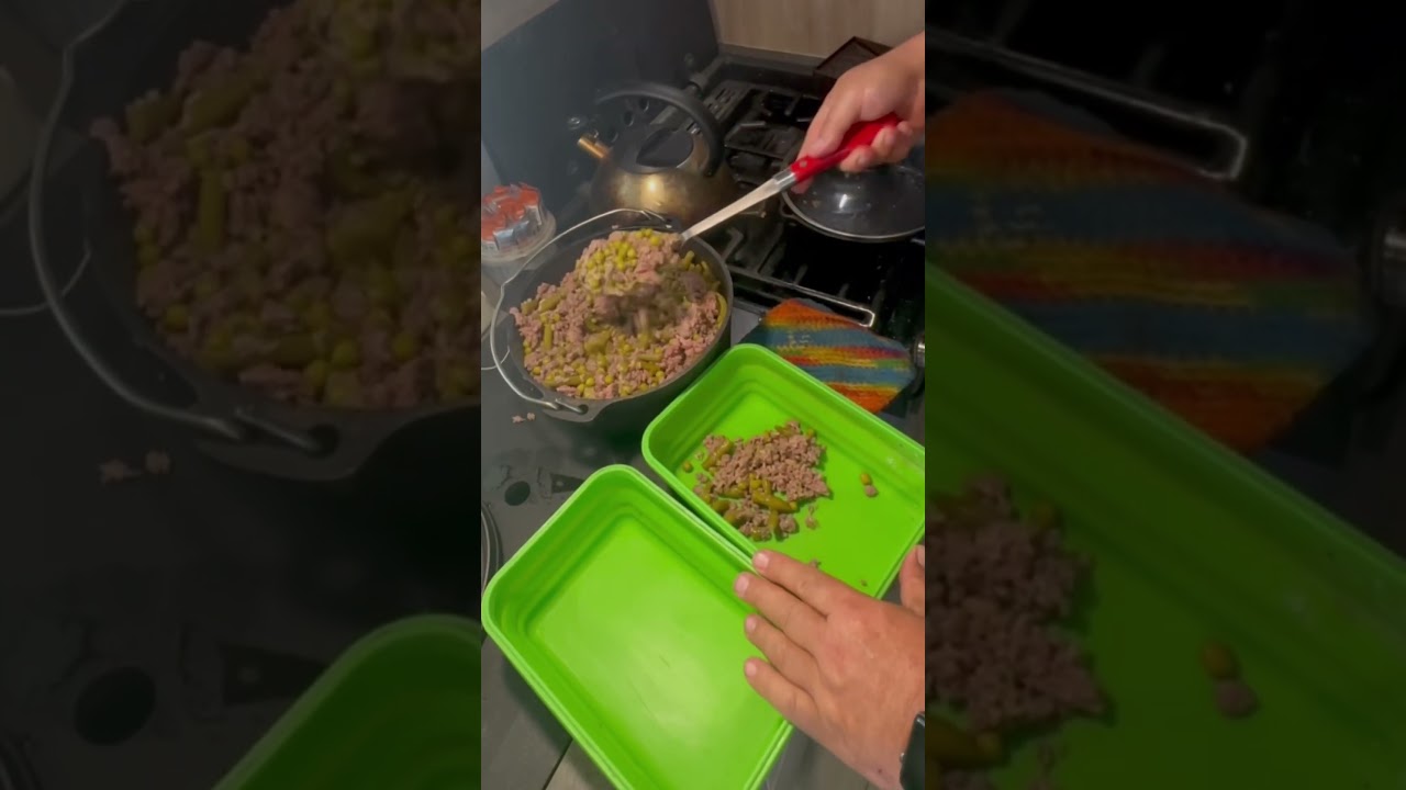 HOMEMADE DOG FOOD #fulltimerv #rv #nomad