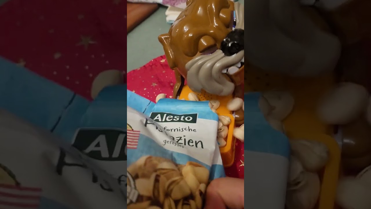 Let's play maddog #alesto kalifornische Pistazien ger&ouml;stet f&uuml;r maddog #ASMR #viral dog(2)