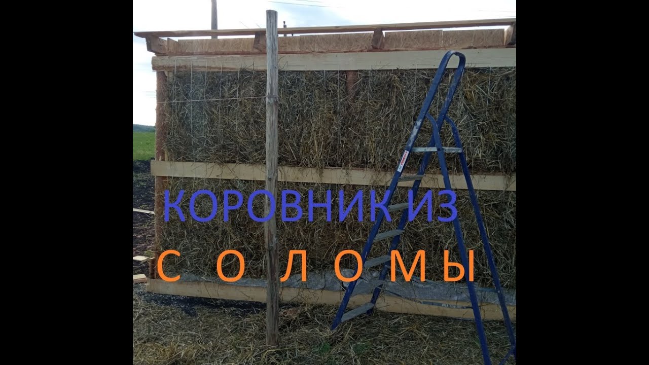 #Коровник строю дешево #Стены из соломы #Технология строительства