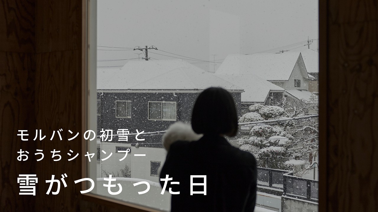 犬と暮らす40代夫婦｜雪がつもった日｜モルバンが雪に初挑戦｜おうちシャンプー