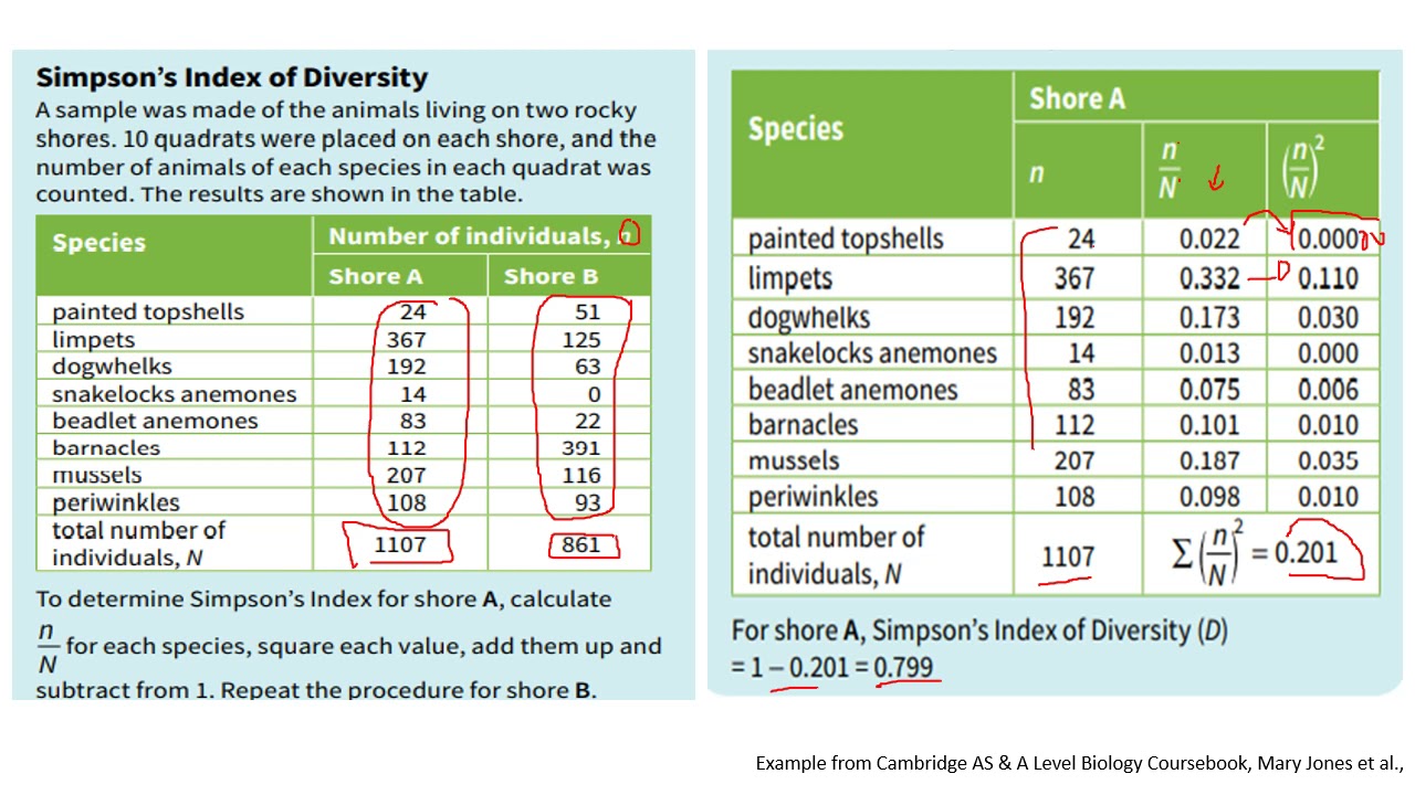 Chapter 18.2: How to Calculate Simpson's Index of Biodiversity