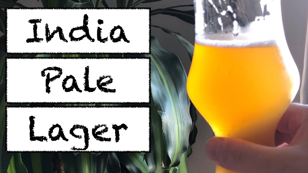India Pale Lager Recipe (IPL beer) Receita Brassagem #65 - no chill