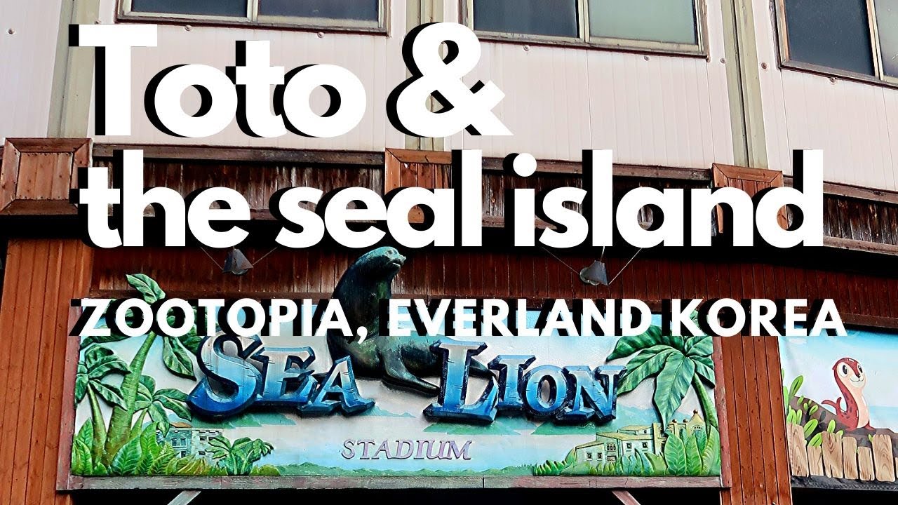 Toto and the Seal Island Animal Show Part 1 | Zootopia Everland, Korea Travel Vlog