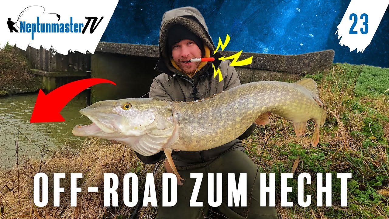 Offroad zum Hechtangeln - Ansitzangeln mit Köderfisch & Posen - Neue Angelstellen erkunden #23