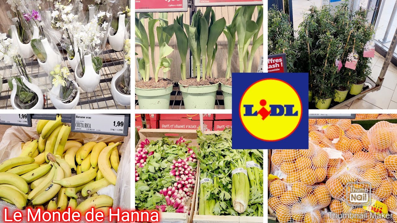 LIDL FRANCE ARRIVAGE 26-02 PLANTES FRUITS ET LÉGUMES 
