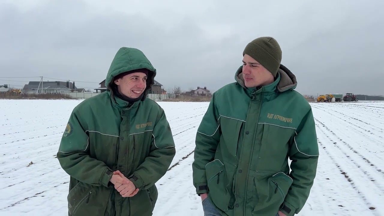 Вносимо селітру 2025 Реальна агрономія