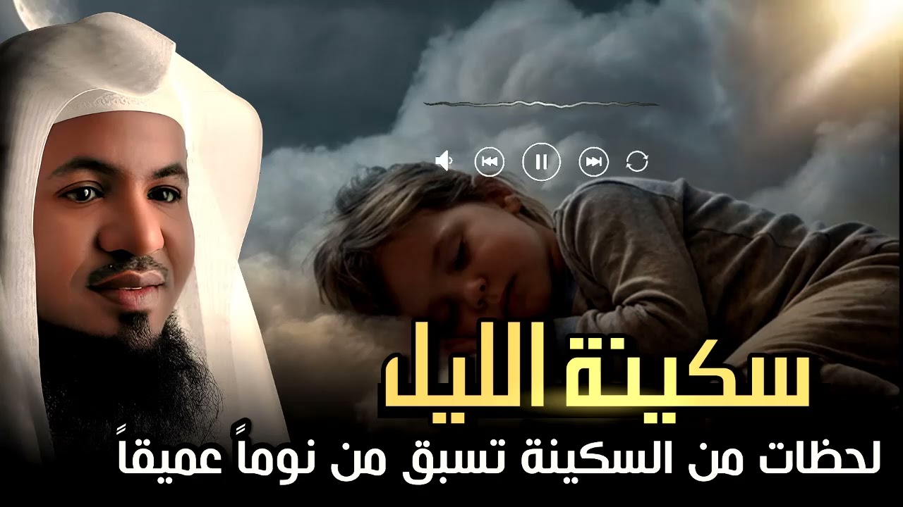 قصص هادئة تريح القلب وتساعدك على نوم عميق | الشيخ محمد الشنقيطي