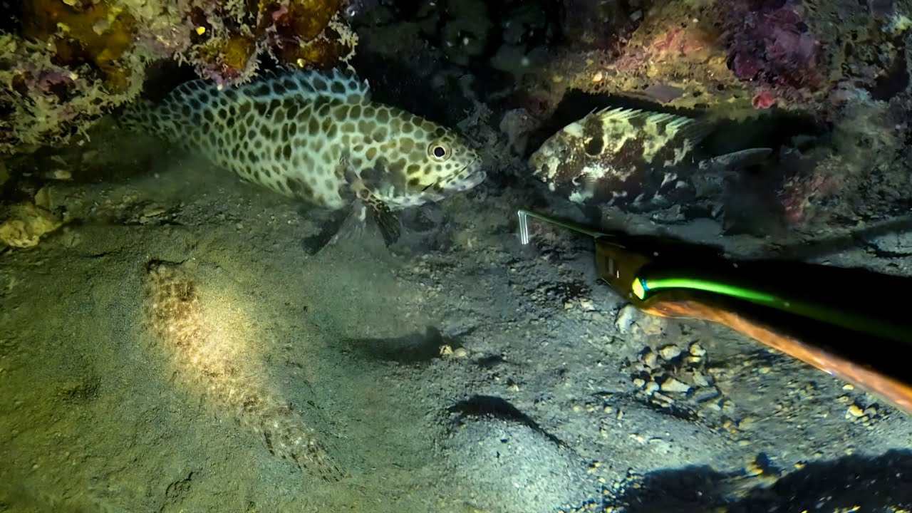 GANITO KAPAG MASIPAG SUMILIP 😅 | EPISODE 183 | NIGHT SPEARFISHING PHILPHILIPPINES | Drin's Adventure