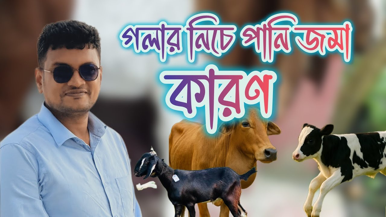 v24 Причины и способы устранения скопления воды или отека под горлом у коров и коз #козы #коровы