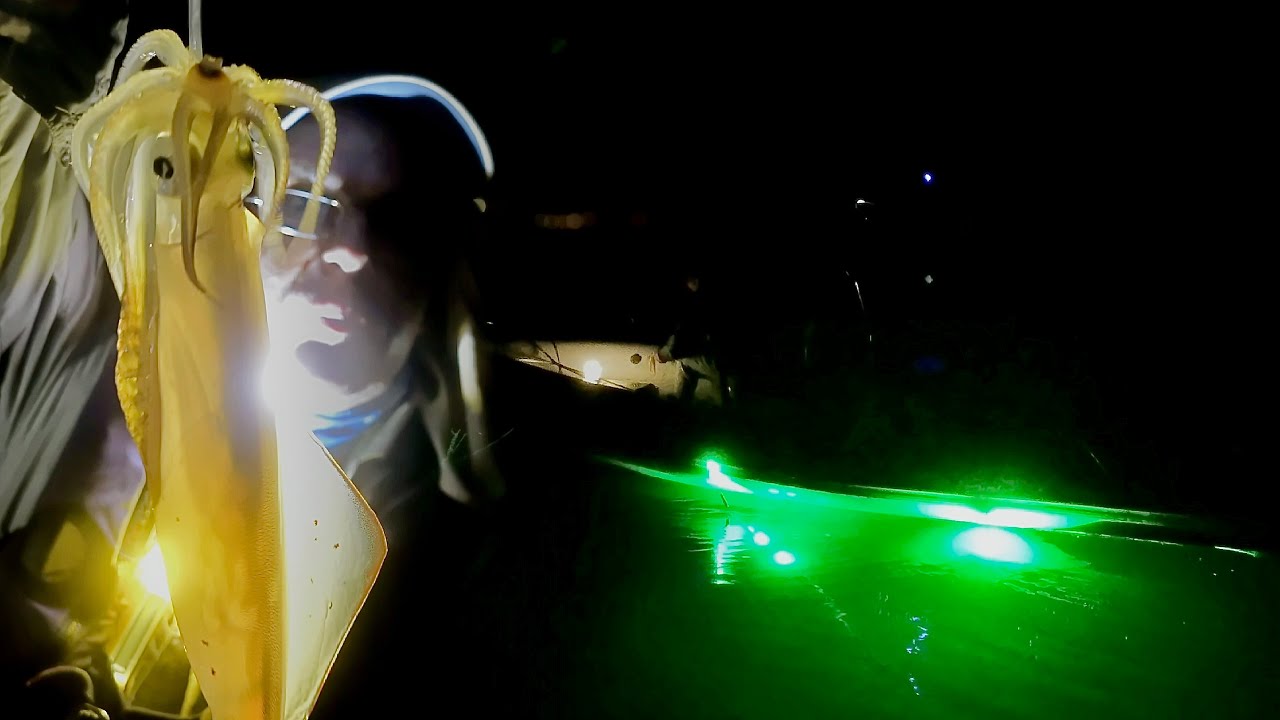 Night fishing for squid - includes drone footage - Tataki - Eging (Squid jigging) n. 27