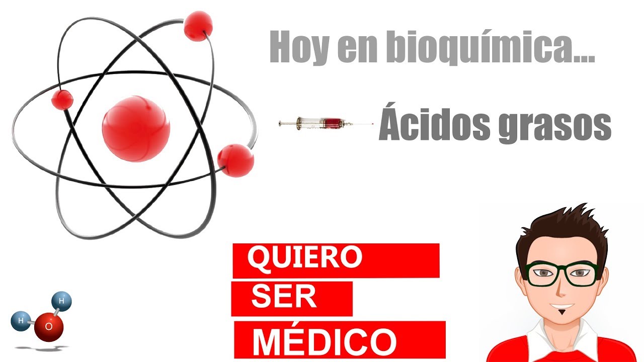 Cl&aacute;sificaci&oacute;n de los l&iacute;pidos y propiedades de los &aacute;cidos grasos