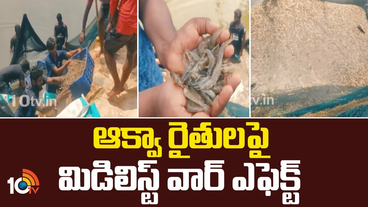 10TV Ground Report | War Effect On Aqua Culture In AP | ఆక్వా రైతులపై మిడిలిస్ట్ వార్ ఎఫెక్ట్ | 10TV