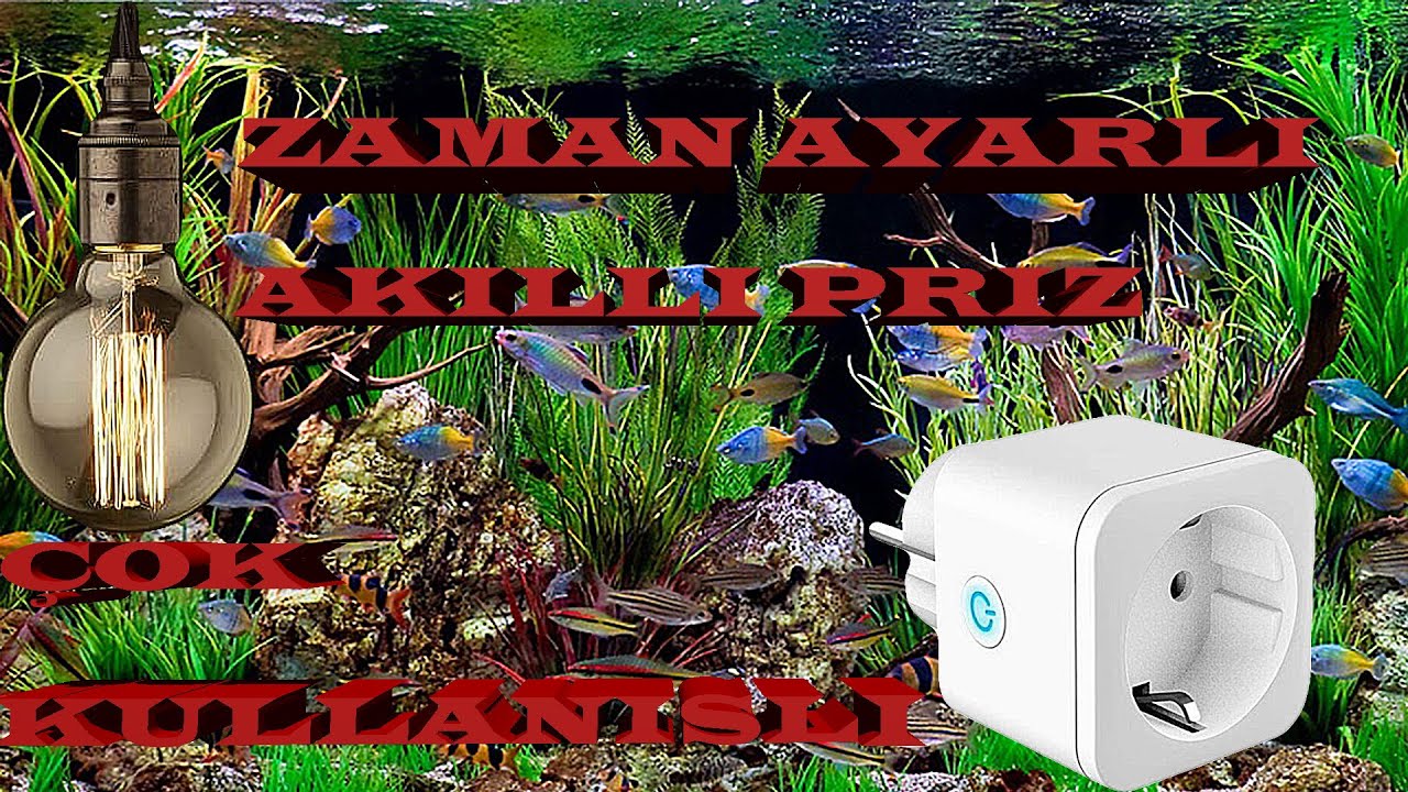 AKVARYUM AKILLI ZAMAN AYARLI PRİZ İNCELEME BÜYÜK KOLAYLIK-Akvaryum balıkları