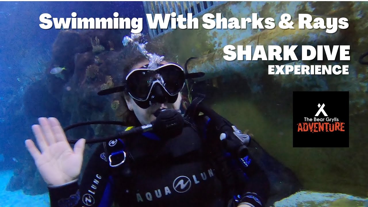 Swimming With Sharks at Bear Grylls Experience Birmingham | Shark Dive